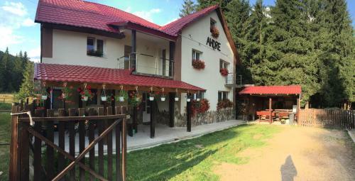 Hostal Casa De Vacanta Andre