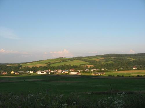 Dom W Mokrem