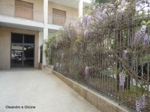 Apartamento Oleandro E Glicine