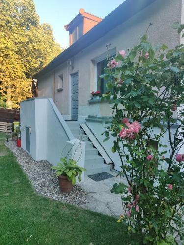 Apartament W S?siedztwie Lasu 1800m Od Morza