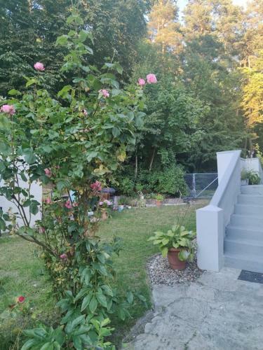 Apartament W S?siedztwie Lasu 1800m Od Morza
