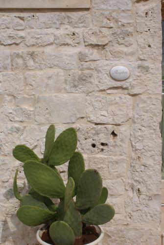Agroturismo Il Granello Di Senape In Valle D'itria