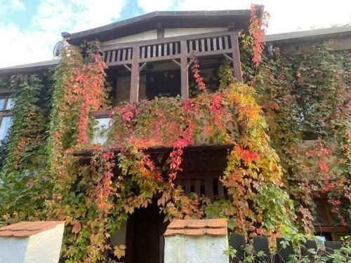Apartamento Winnica 34 Nad Wis?? 2