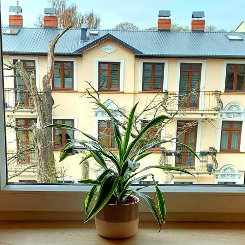 Apartament Pacific 2 Rooms / Pokoje