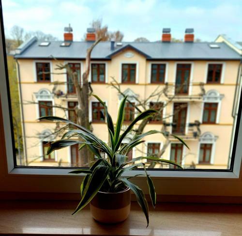 Apartament Pacific 2 Rooms / Pokoje