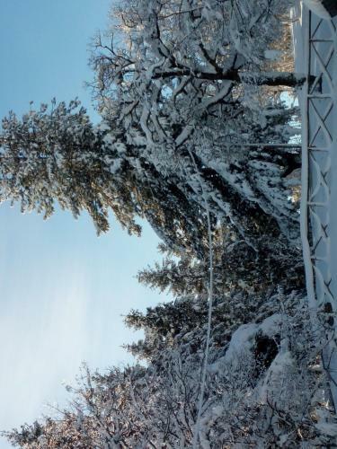 Bed & Breakfast Il Castagno