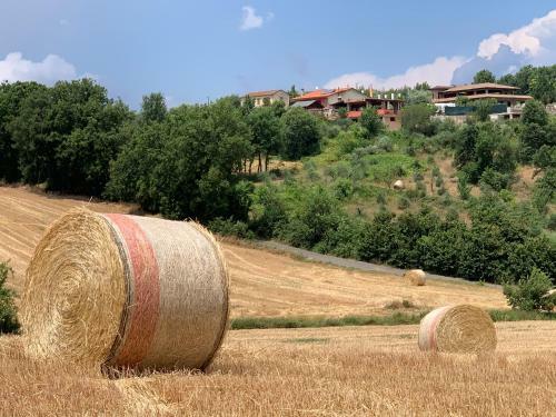 Agroturismo Agri San Bonaventura