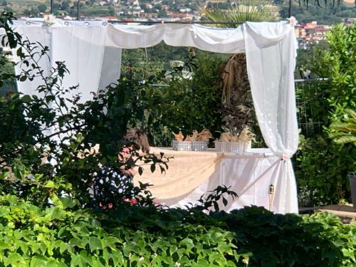 Agroturismo Agri San Bonaventura