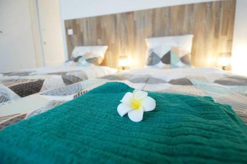 Apartamento Le Grand Joliette Marseille "experience-immo"