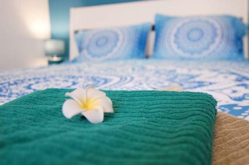 Apartamento Le Grand Joliette Marseille "experience-immo"