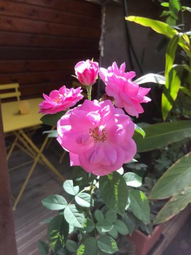 Apartamento Chambre2 R�sidence Beauregard