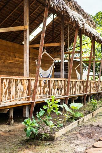 Posada Casa Azul Reserva Amazonica