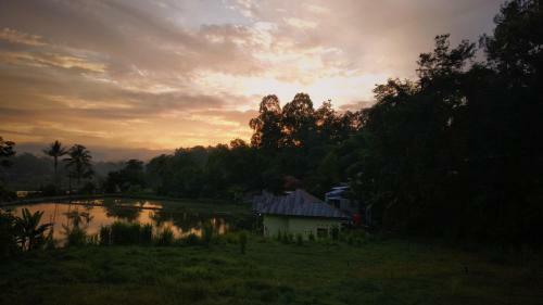 Mama Tia Family Homestay