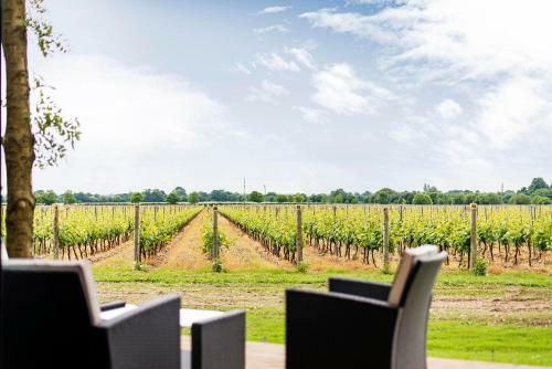 Tinwood Estate Vineyard Lodges