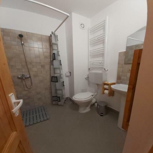 Hostal Conacul Sarbesc