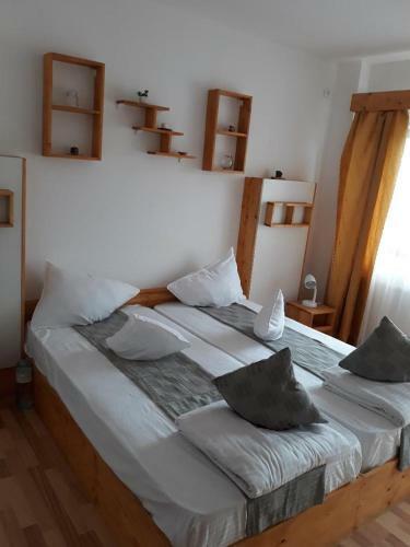 Hostal Conacul Sarbesc