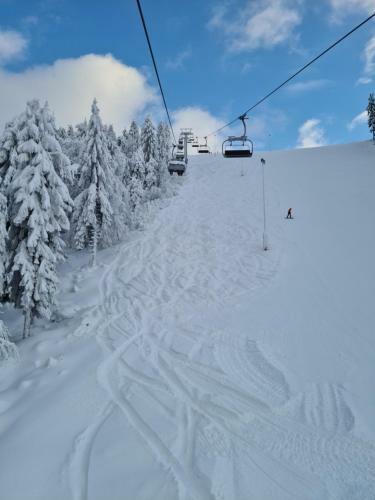 Lodge Cabana M?lina V�rtop