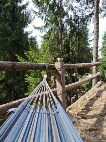 Lodge Cabana M?lina V�rtop
