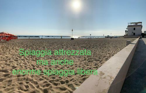 B&B Falcone