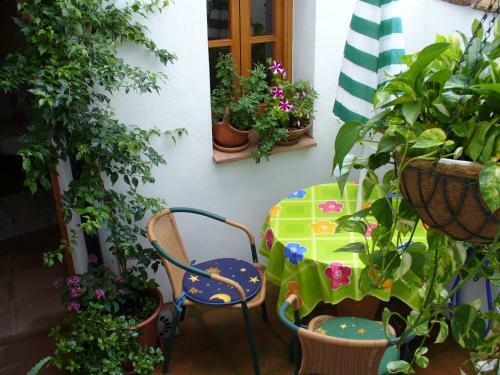 Enchanting 2-bed Village House In Montejaque Wifi