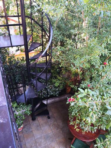 Appartamento In Villa A Pietragrande