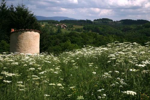 Bed & Breakfast La Paresse En Douce