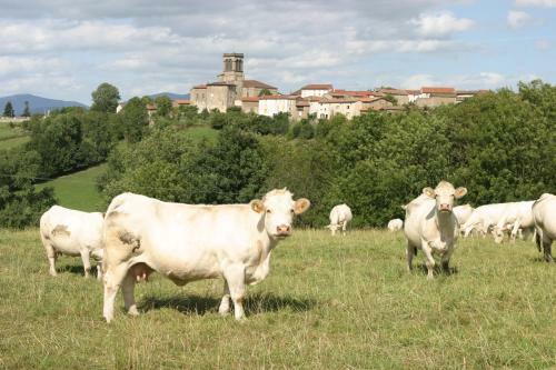 Bed & Breakfast La Paresse En Douce