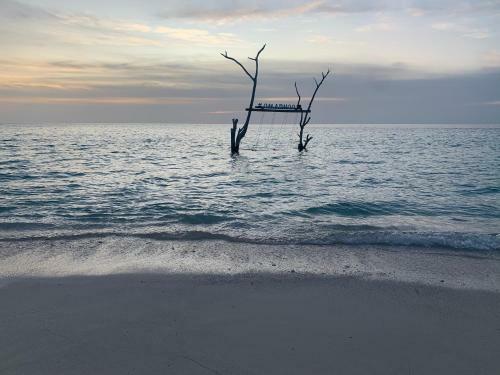 Hotel Pristine Beach Omadhoo