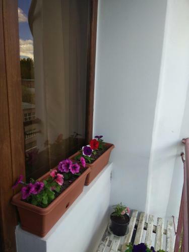 Sunny Aura Apartment