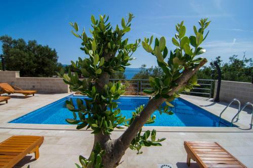 Villa Nikola - Big Terrace Apartments