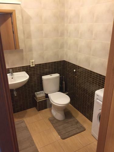Luxury Apartment