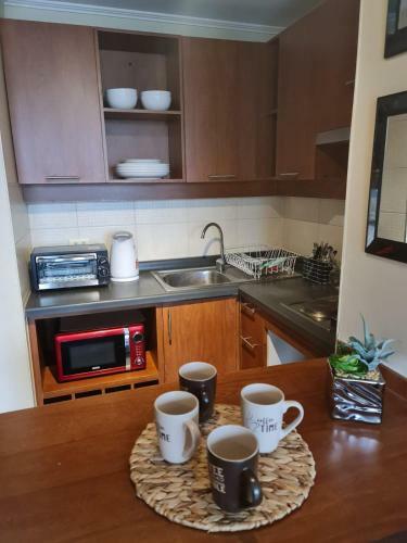 Apartamento Departamento Amoblado En Concepci�n