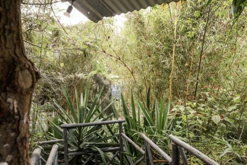 Bed & Breakfast Fravan Eco Resort