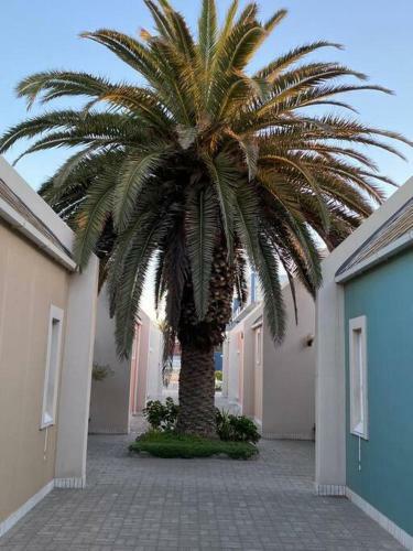 Apartamento Ocean Vibes