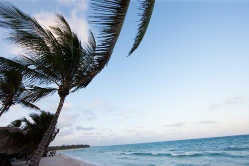 Diani Reef Apartments
