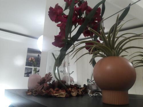 Apartamento Ibis Appartement