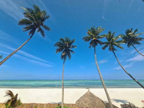 Zanzibar Sunrise Luxury Villas