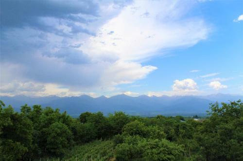 Apartamento Tsinandali Inn