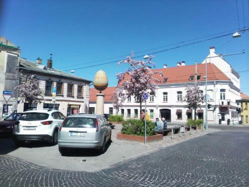 Old Town Stepono Street Apartment