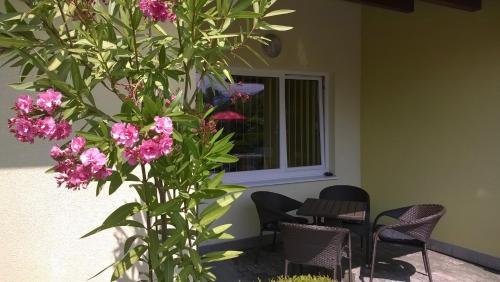 Apartamento Privat No 13