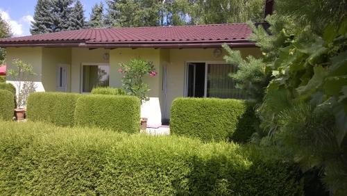 Apartamento Privat No 13