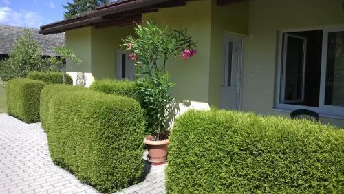 Apartamento Privat No 13