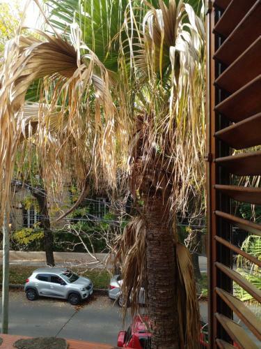 Bed & Breakfast Delta Inn - R�o Tigre