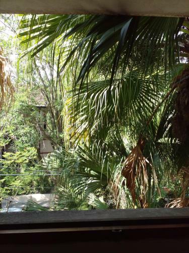 Bed & Breakfast Delta Inn - R�o Tigre