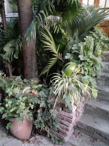 Bed & Breakfast Delta Inn - R�o Tigre