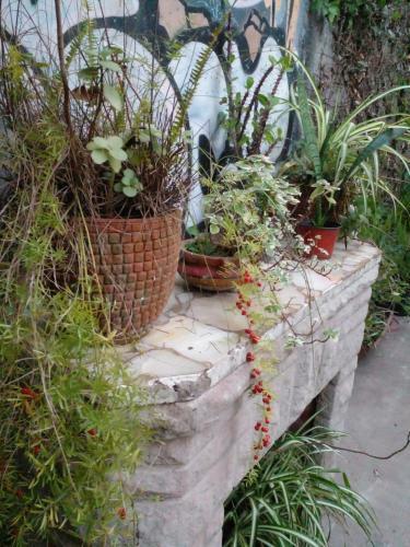 Bed & Breakfast Delta Inn - R�o Tigre