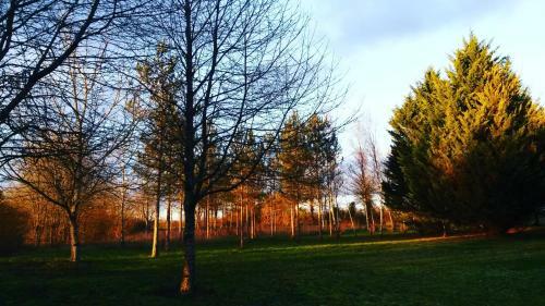 Bed & Breakfast La Marelle