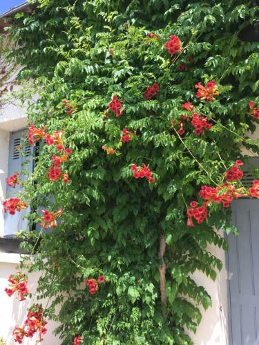 Bed & Breakfast La Marelle