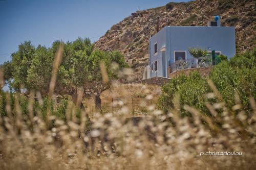 Agroturismo Potideon Villa