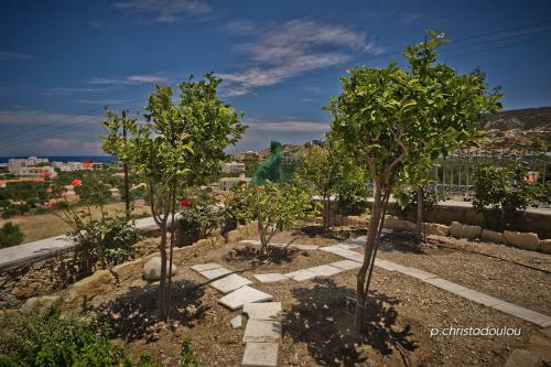 Agroturismo Potideon Villa